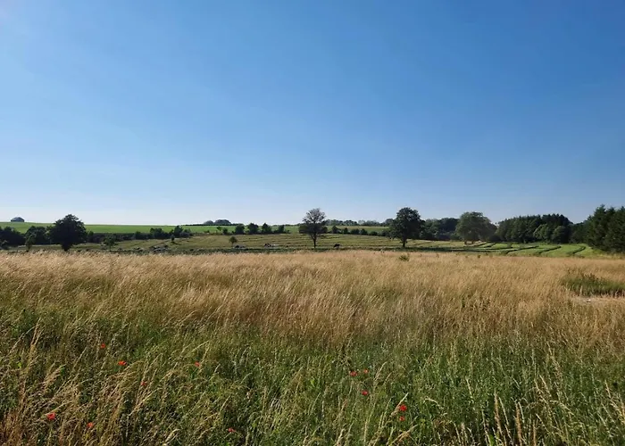 Grand Du Moulin De Bourges Σπίτι διακοπών *